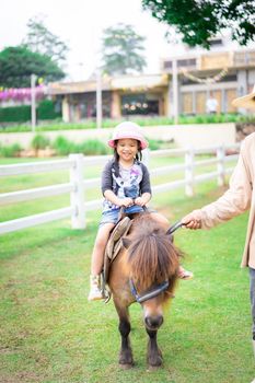 little girl learning to ride horse