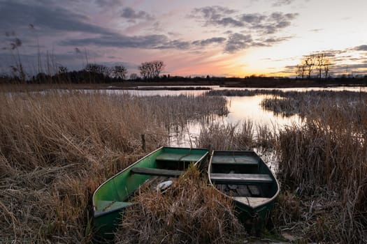 Anglers boats in reeds on the lake shore and the evening sky after sunset, Stankow, Lubelskie, Poland