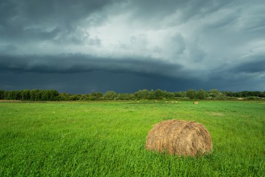 Hay bale on a green meadow and a dark storm cell, summer view
