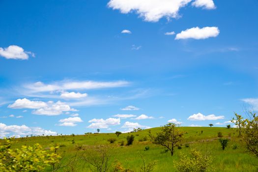 A landscape pictures of the country of Madagascar, with mountains and meadows