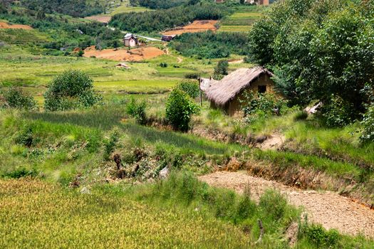 The Landscape shots of green fields and landscapes on the island of Madagascar