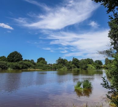 Beautiful sunny landscape at a lake with a reflective water surface.