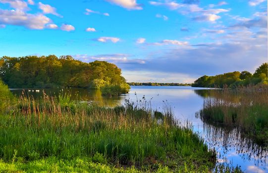 Beautiful sunny landscape at a lake with a reflective water surface.