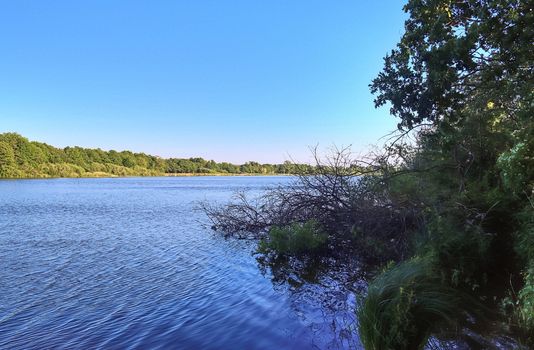 Beautiful sunny landscape at a lake with a reflective water surface.