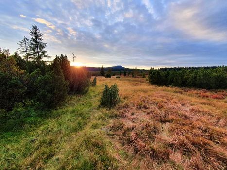 Beautiful sunset over peat bog near Kvilda village in Sumava National Park landscape.