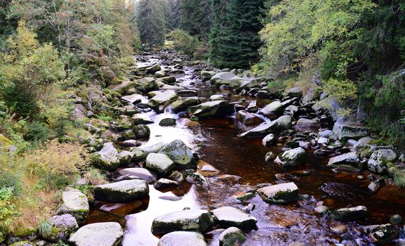 Wild mountain river Vydra with stony bed in Sumava National Park, South Bohemia.