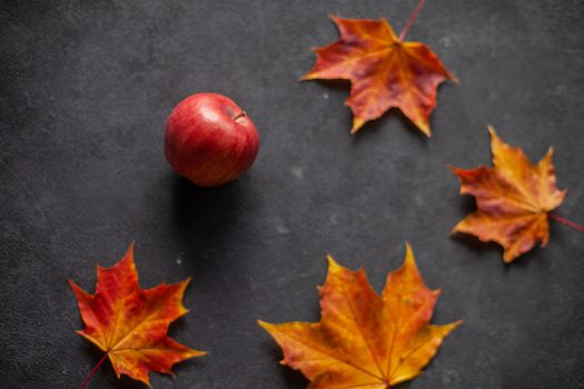 Autumn marple leaves and Ripe garden red apples on gray concrete. Fruits concept of the fall harvest. Space for text.