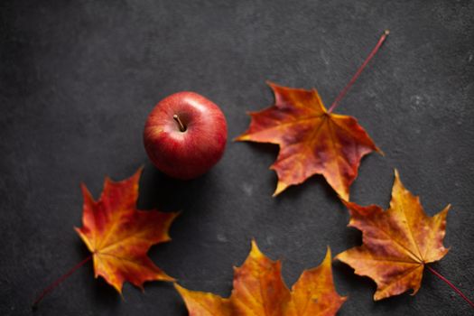 Autumn marple leaves and Ripe garden red apples on gray concrete. Fruits concept of the fall harvest. Space for text.