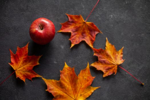 Autumn marple leaves and Ripe garden red apples on gray concrete. Fruits concept of the fall harvest. Space for text.