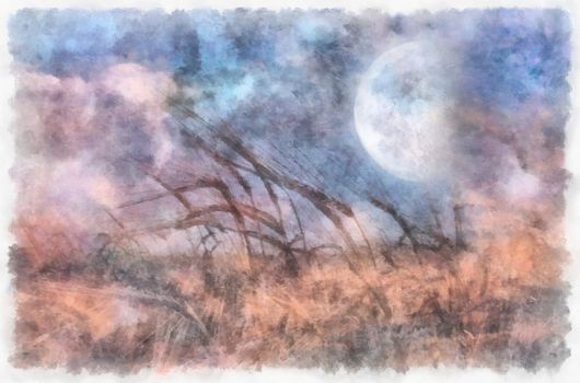 Field of wheat, full moon in the sky. 3D rendering