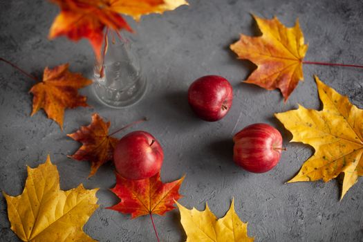 Autumn marple leaves and Ripe garden red apples on gray concrete. Fruits concept of the fall harvest. Space for text.