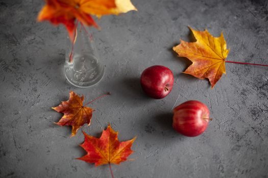 Autumn marple leaves and Ripe garden red apples on gray concrete. Fruits concept of the fall harvest. Space for text.