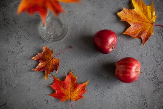 Autumn marple leaves and Ripe garden red apples on gray concrete. Fruits concept of the fall harvest. Space for text.