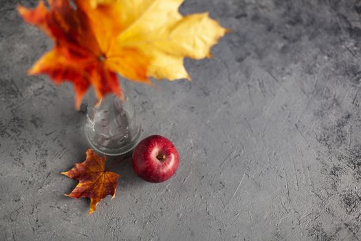 Autumn marple leaves and Ripe garden red apples on gray concrete. Fruits concept of the fall harvest. Space for text.