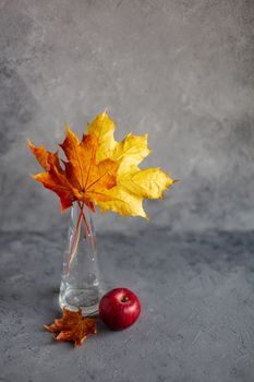 Autumn marple leaves and Ripe garden red apples on gray concrete. Fruits concept of the fall harvest. Space for text.