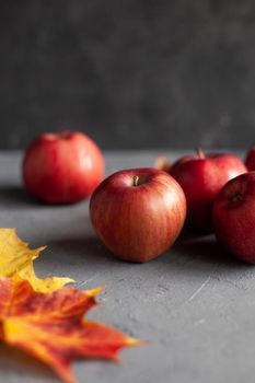 Autumn marple leaves and Ripe garden red apples on gray concrete. Fruits concept of the fall harvest. Space for text.