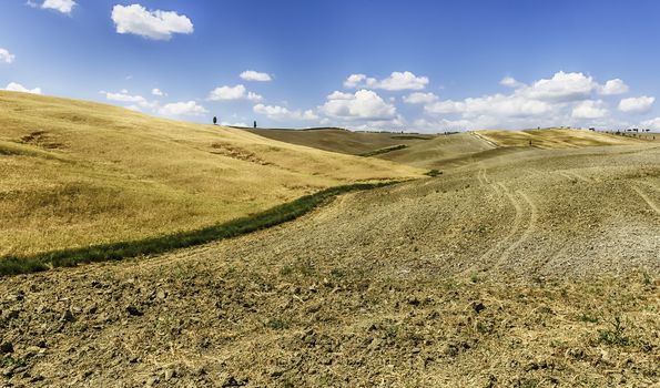 Landscape of dry fields in the countryside in Tuscany, Italy. Concept for agriculture and farmlands