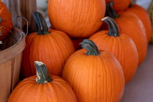 Side View of Farmers Market stack of orange pumpkins . High quality photo