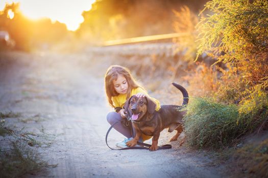 A girl walks through an autumn flogging with a dachshund dog. The child is petting his dog. Children and animals