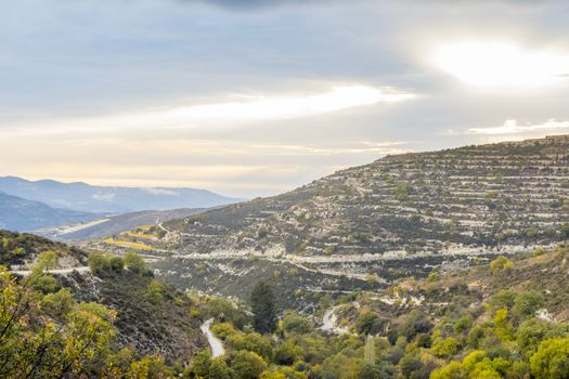 Vineyards of Cyprus in the Troodos mountains. Travel and tourism.