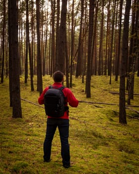 A man tourist in a bright red jacket with a backpack behind his back, standing in an autumn pine forest.