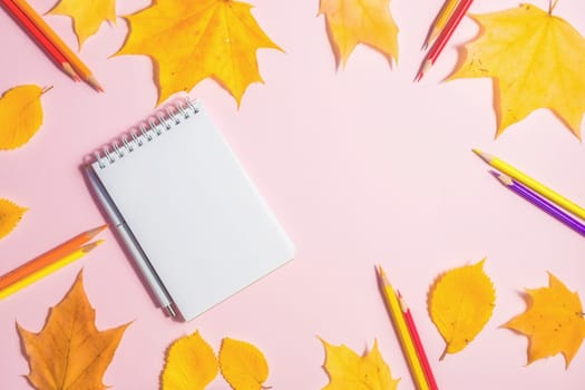 .Autumn fallen foliage and notebook on pink background