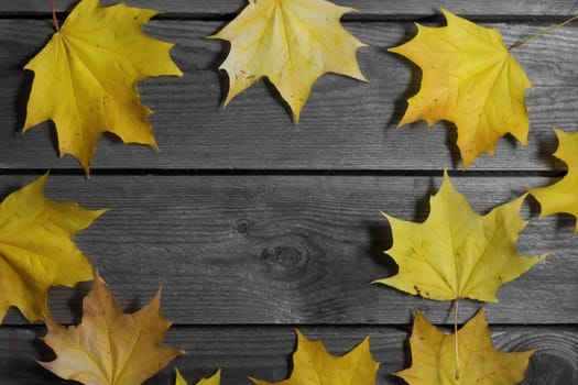 Autumn fallen foliage on wooden background