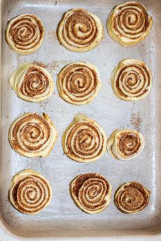 Rolled cinnamon dough on a baking sheet in the oven. Cooking buns.