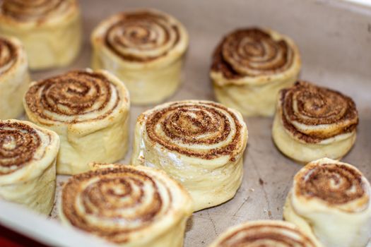 Rolled cinnamon dough on a baking sheet in the oven. Cooking buns.