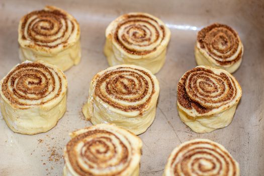 Rolled cinnamon dough on a baking sheet in the oven. Cooking buns.