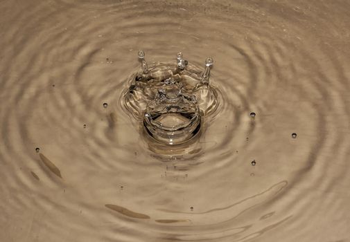 Diadem and crown formed from drops falling on the surface of water