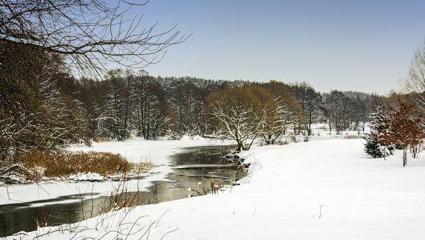 Winter nature. The river is not yet covered by ice.