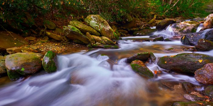 Curtis Creek near Curtis Creek Campground in the mountians of North Carolina.