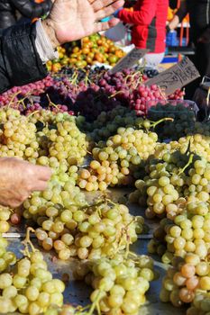 Cluster of grapes at a market stall in Santa Pola, Alicante, Spain