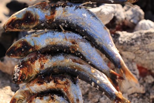 Roasted sardines on a spit in southern Spain