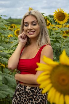 A gorgeous young blonde model poses outdoors in a field of sunflowers while enjoying a summers day