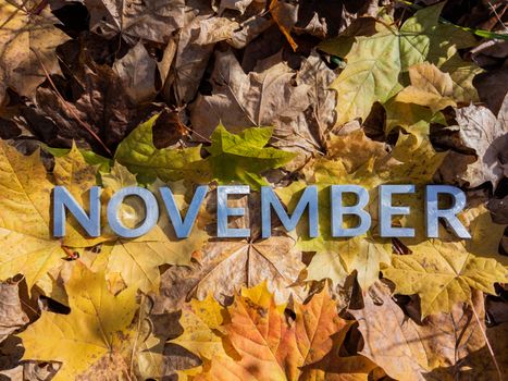 the word november laid with metal letters over yellow autumn fallen leaves - closeup with selective focus.