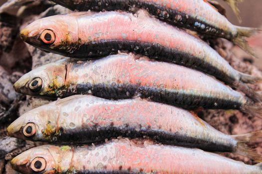 Roasted sardines on a spit in southern Spain in summer