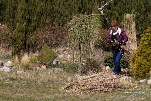 Pile of dry grass. Middle-aged red-haired girl. Cleaning up the recreational plot. Sunny day.