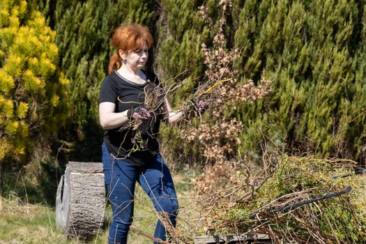 The red-haired woman works at laying cut branches of a weeping willow. Spring cleaning in the garden by the decorative trees.