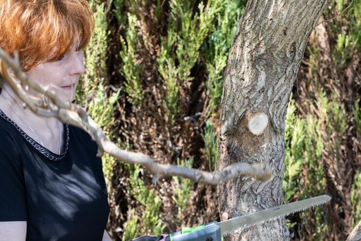 Hand saw for cutting thick branches of the tree. Red-haired woman works as a gardener. Spring cleaning in the garden by the decorative trees.