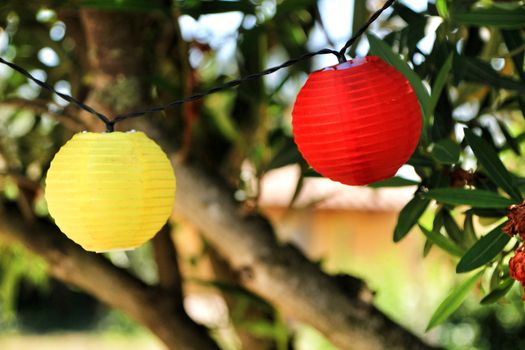 Colored round lanterns hanging on a tree in the garden