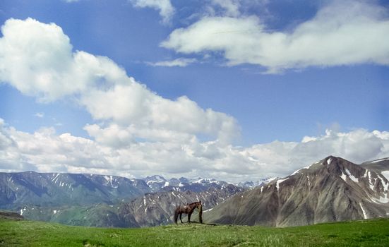 A horse rider in a meadow in the mountains. The landscape of the mountain sky.
