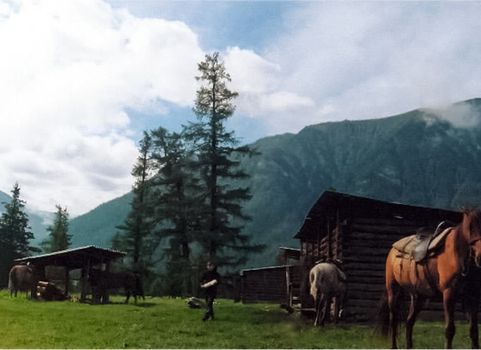 Horses in the meadow near sheds and stables.