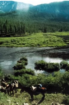 Mountain river. Stones and water of a mountain river. The mountains are said.