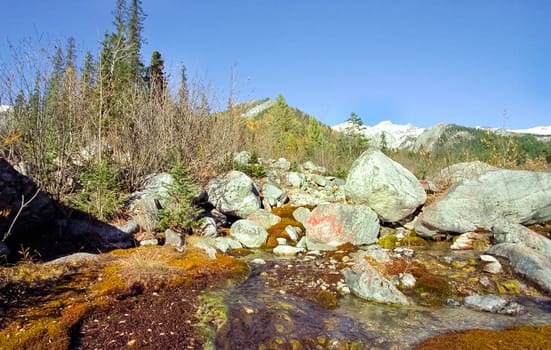 The mountains of the sayans. The nature of the mountains is sayan. Vegetation in the mountains