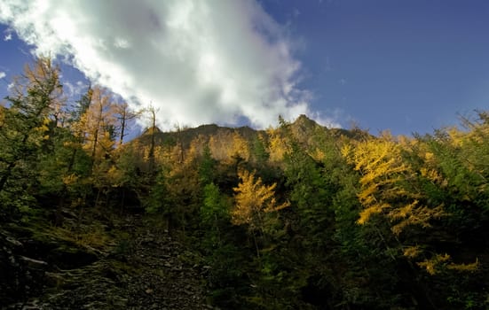 The mountains of the sayans. The nature of the mountains is sayan. Vegetation in the mountains