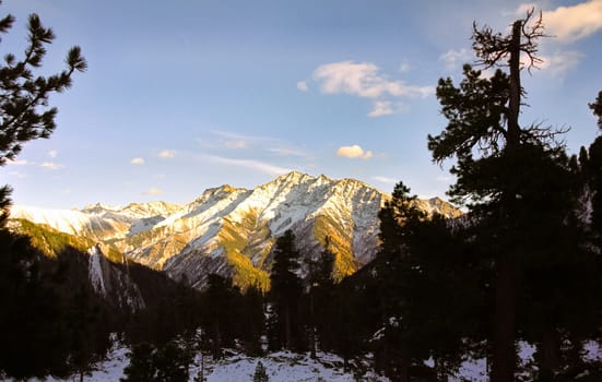 The mountains of the sayans. The nature of the mountains is sayan. Vegetation in the mountains