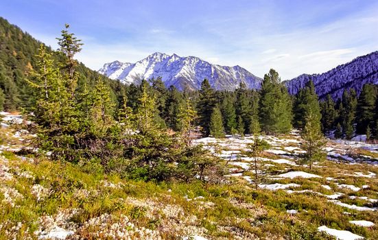 The mountains of the sayans. The nature of the mountains is sayan. Vegetation in the mountains