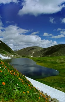 The mountains of the sayans. The nature of the mountains is sayan. Vegetation in the mountains